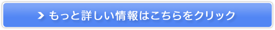 q̖ؕsIyf`111IZT~vX̔TCg